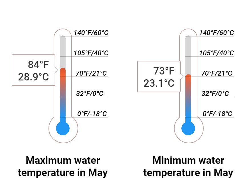 Average Sea temperature